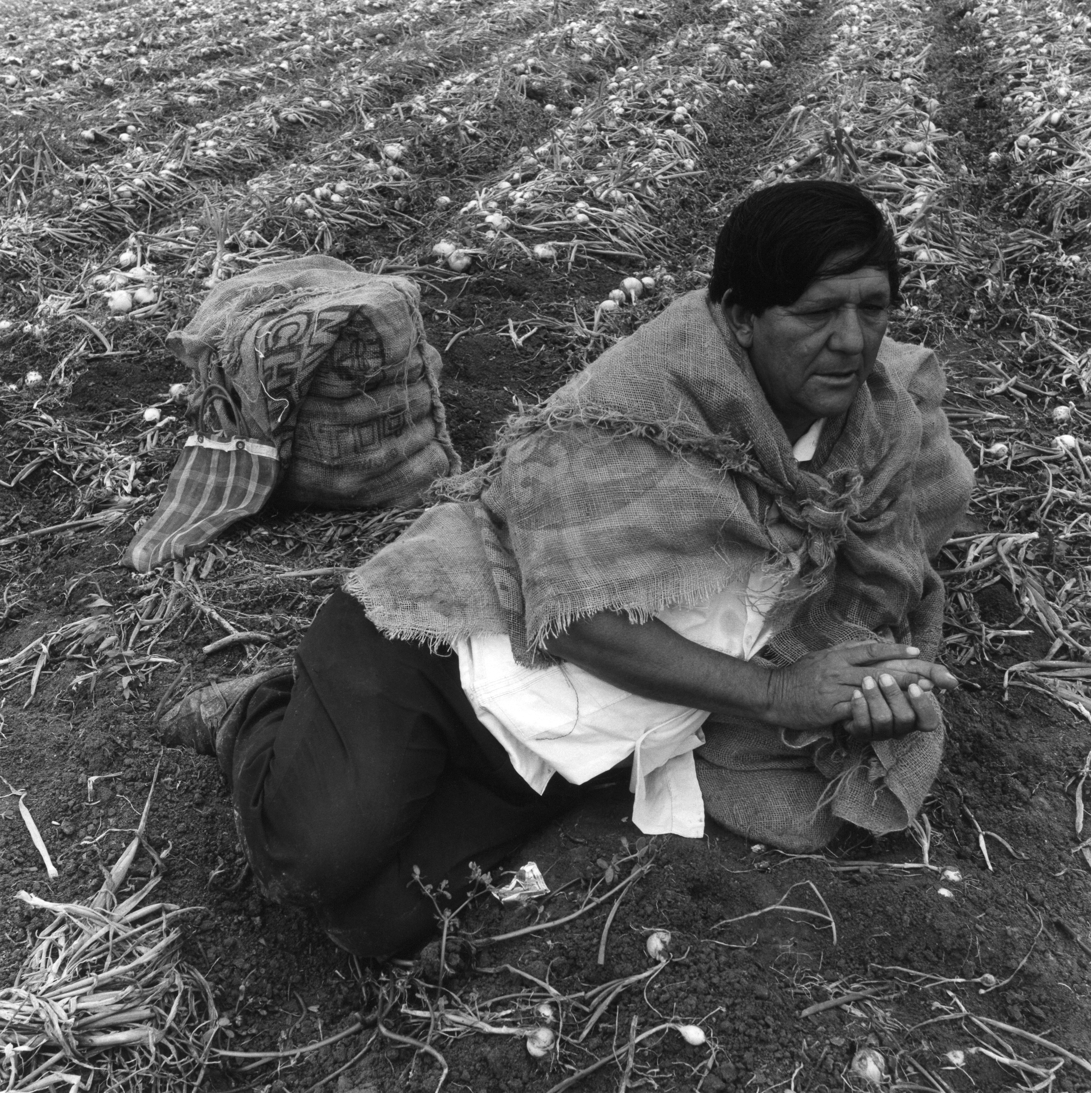 KL-FarmWorkers26-crop.jpg