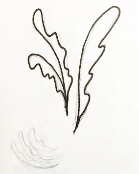 sketch2.jpg