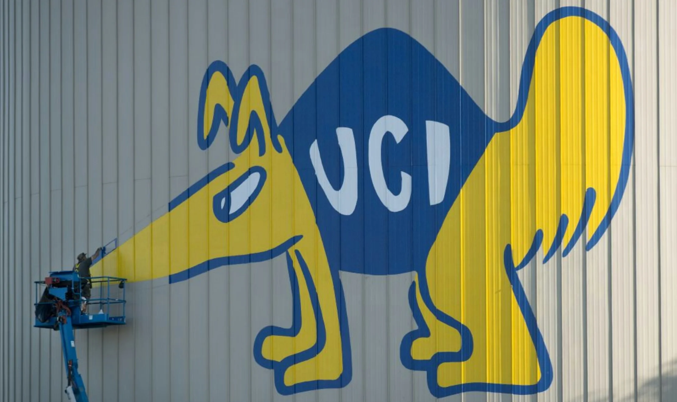 HAND PAINTING PETER THE ANTEATER AT UC IRVINE, ORANGE COUNTY, CA