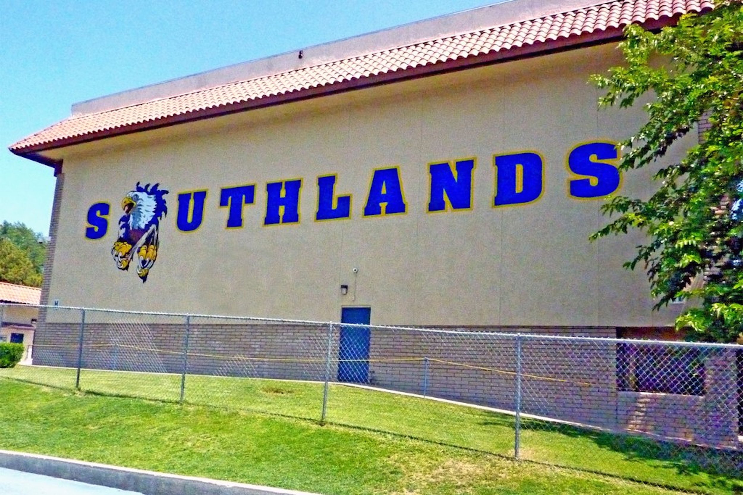 Southlands Christian hand painted school gym mural