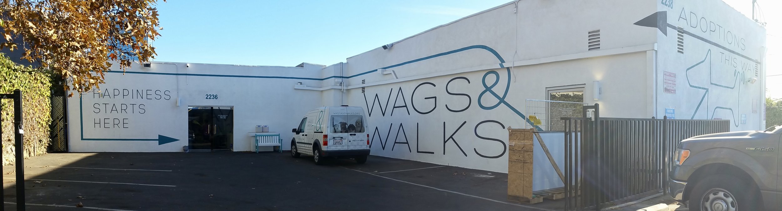Wags &amp; Walks hand painted graphic mural
