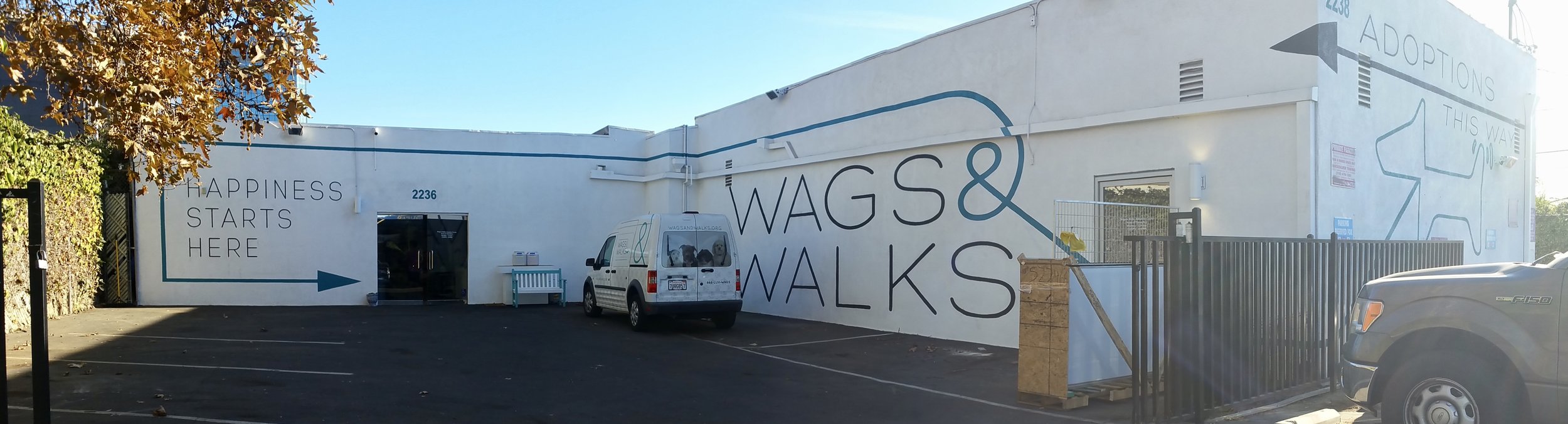 Wags & Walks hand painted graphic mural