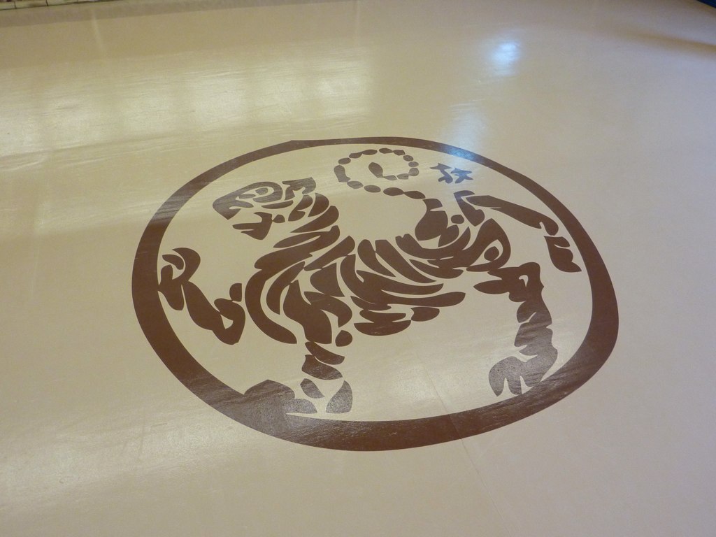 Lake Forest Shotokan dojo gym epoxy floor hand painted graphics