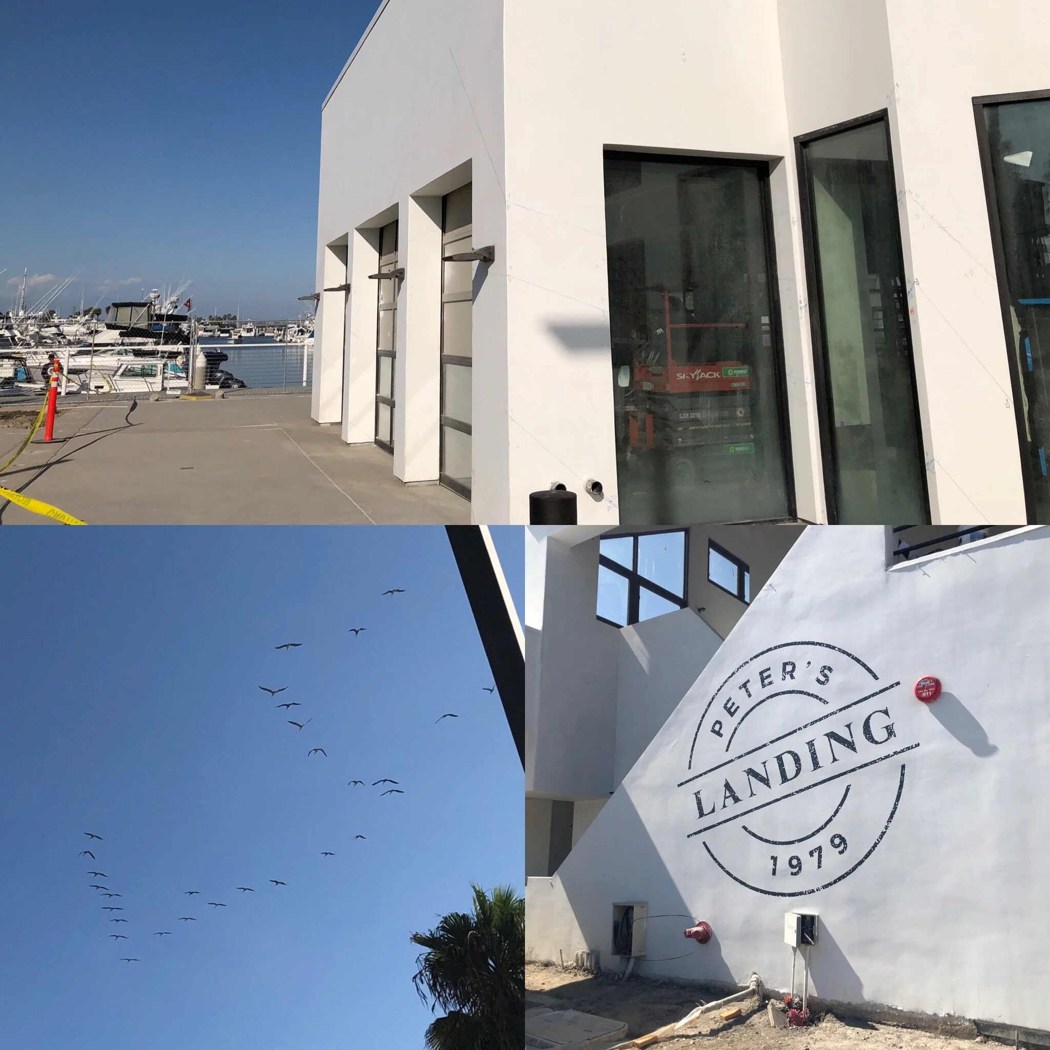 The canvas… started in September, and the environment was ideal for working. The Peter’s Landing logo is one I painted earlier in 2019…