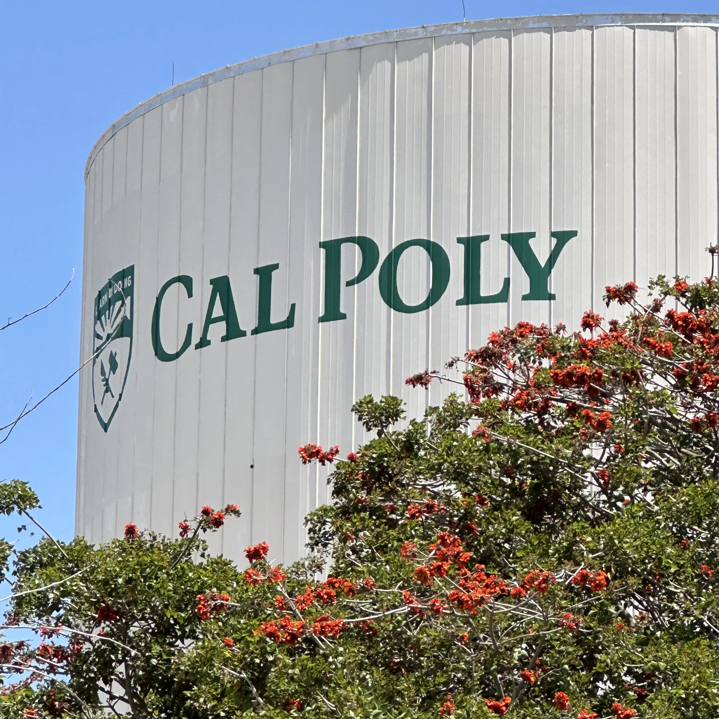 RECENT WORK: CAL POLY SAN LUIS OBISPO WATER TOWER HAND PAINTED GRAPHICS