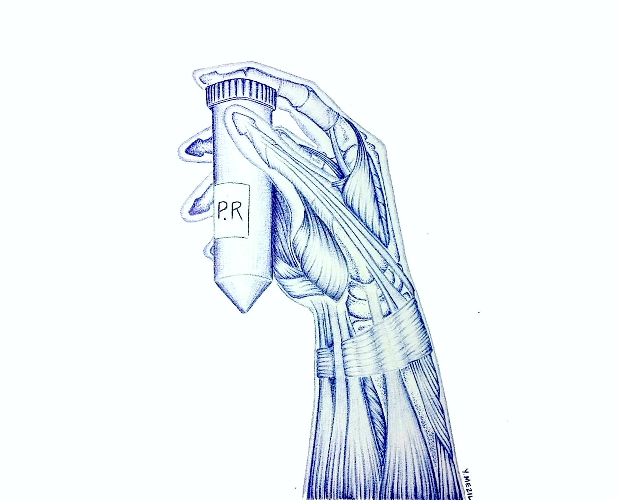 Screen Shot 2018-04-03 at 10.31.54 PM.png