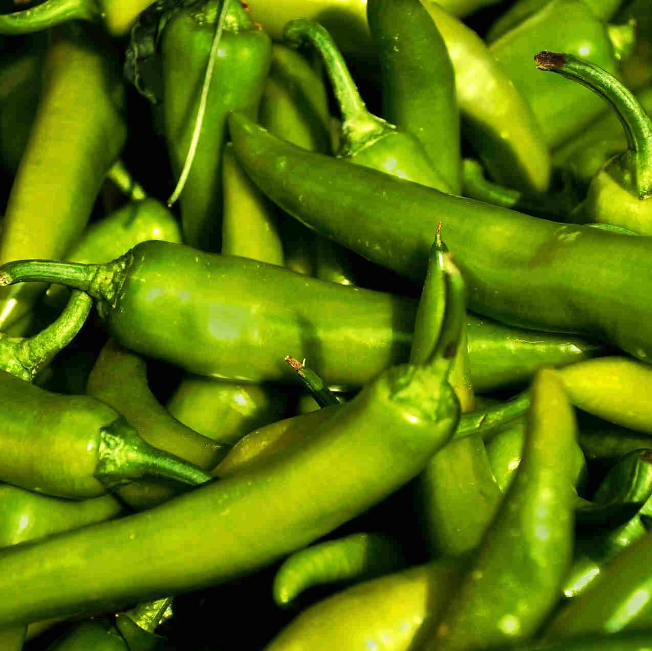 THE KOREAN GREEN PEPPER