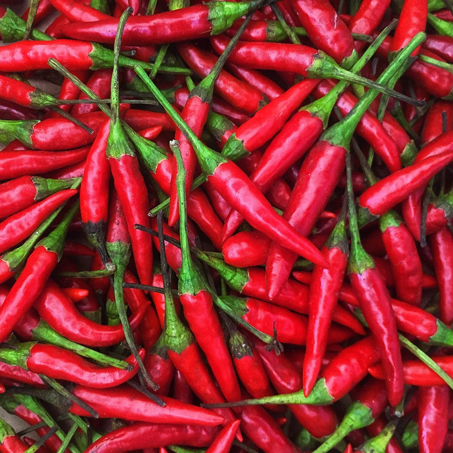 Also known as the tiny but MIGHTY SPICY Thai Bird's Eye Chili Peppers. Scoville range 50,000-100,000. Mm-mmm!