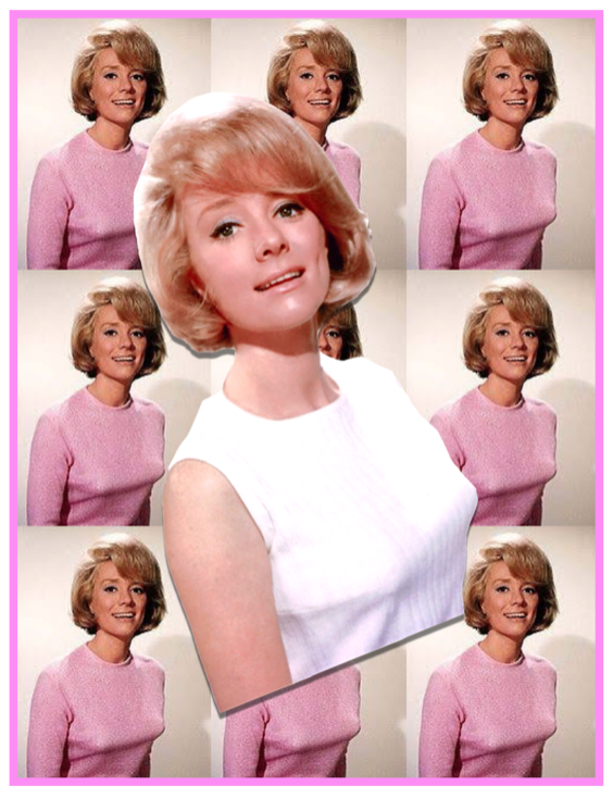 Screen Shot 2018-04-30 at 4.23.21 PM.png