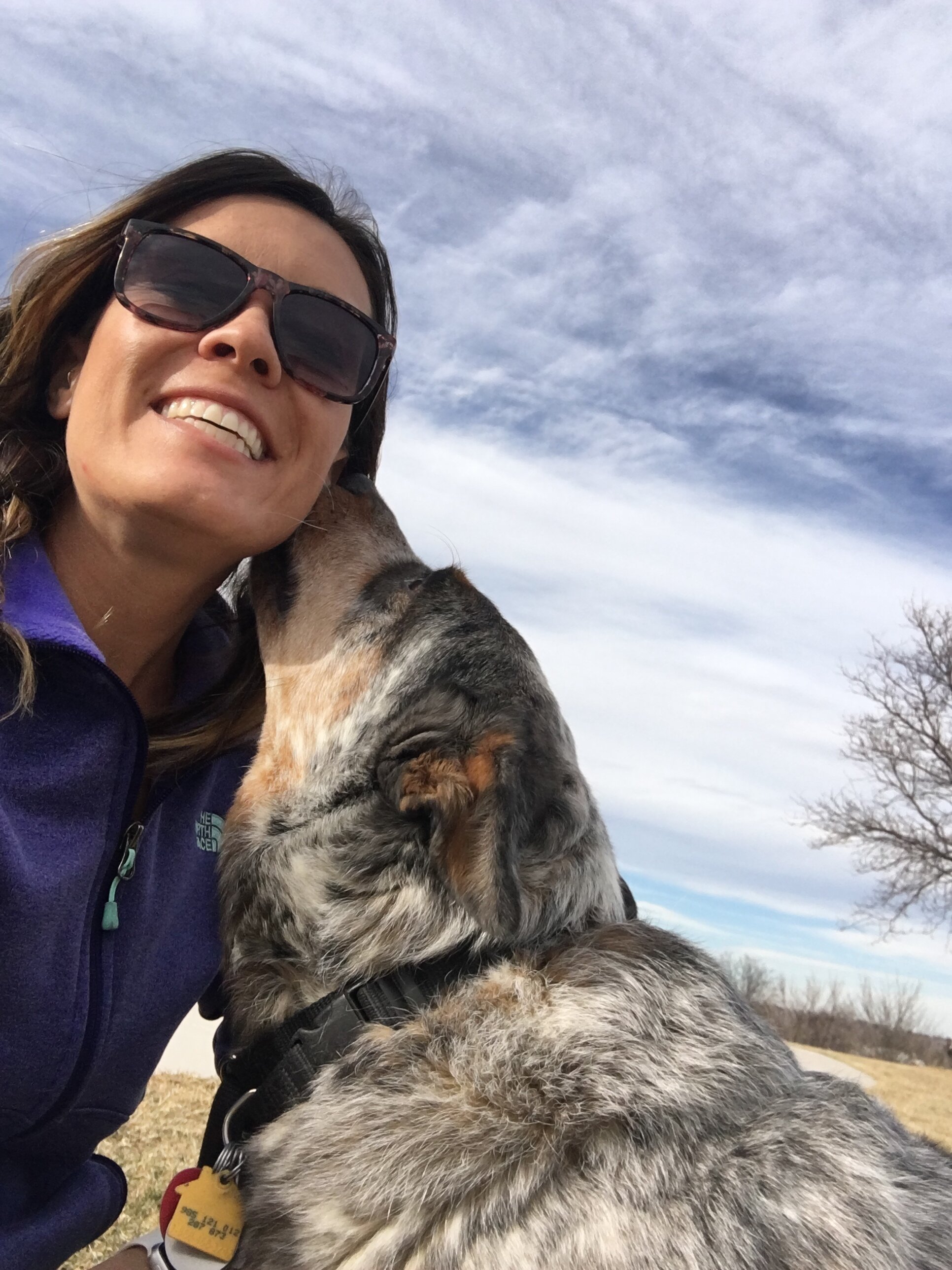 Colorado dog behaviorist