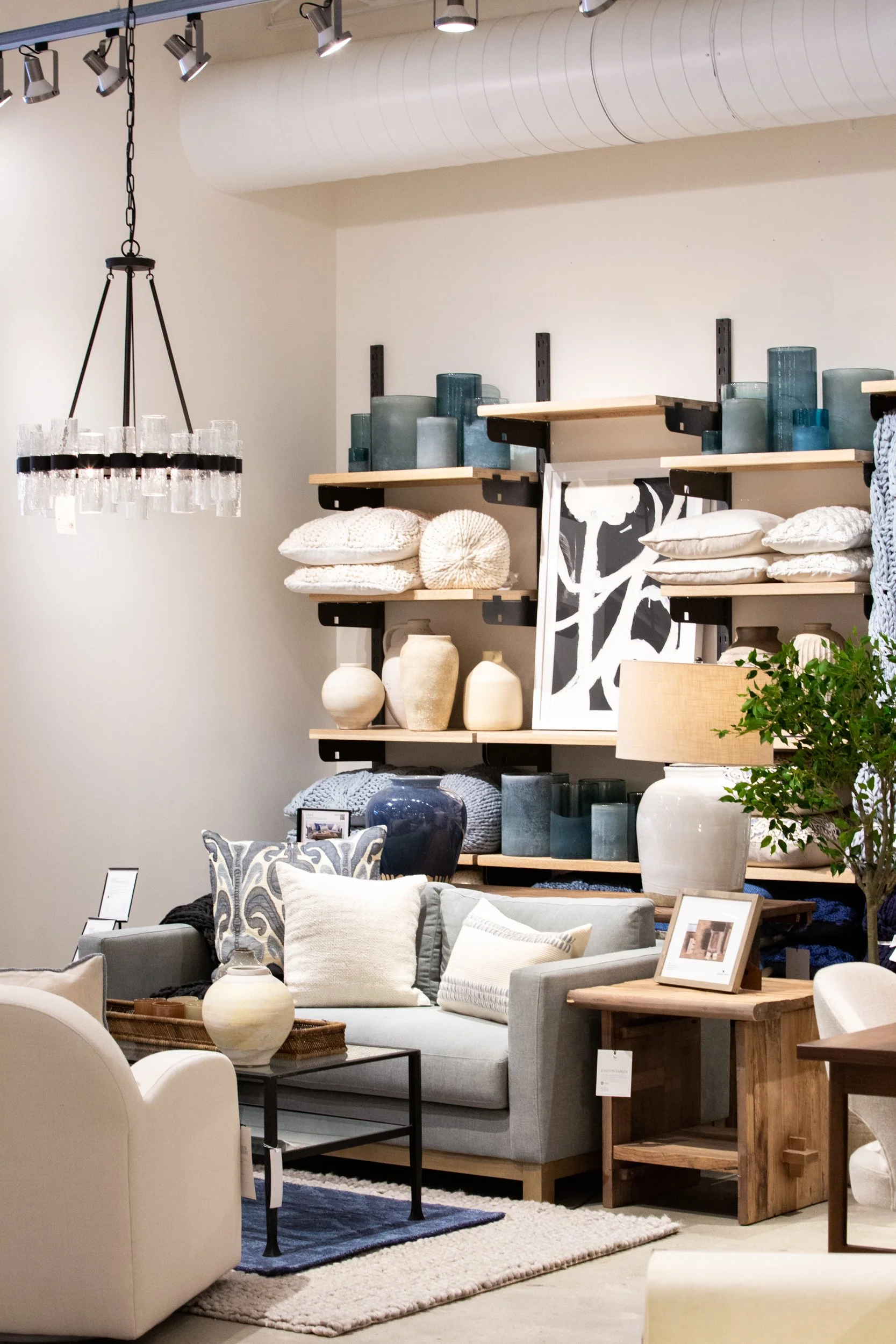 PB Stuyvesant Plaza 1569-Albany, NY Photos 02.04.2022.JPG