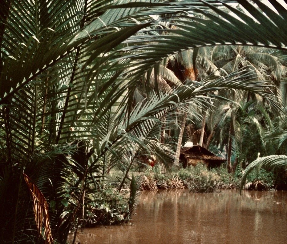 Screen Shot 2020-08-11 at 2.23.07 AM 3.jpeg