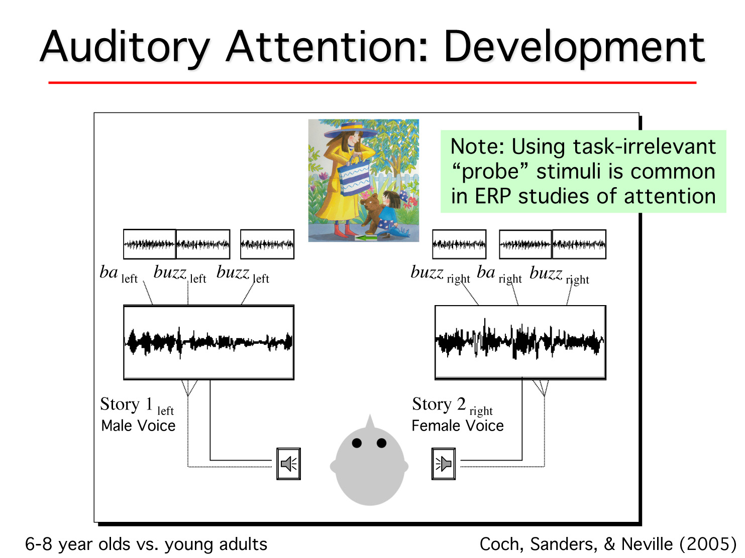 auditory development.jpg