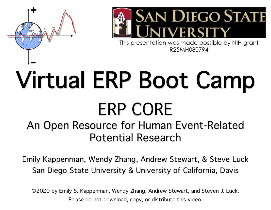 Virtual ERP Boot Camp2.jpg