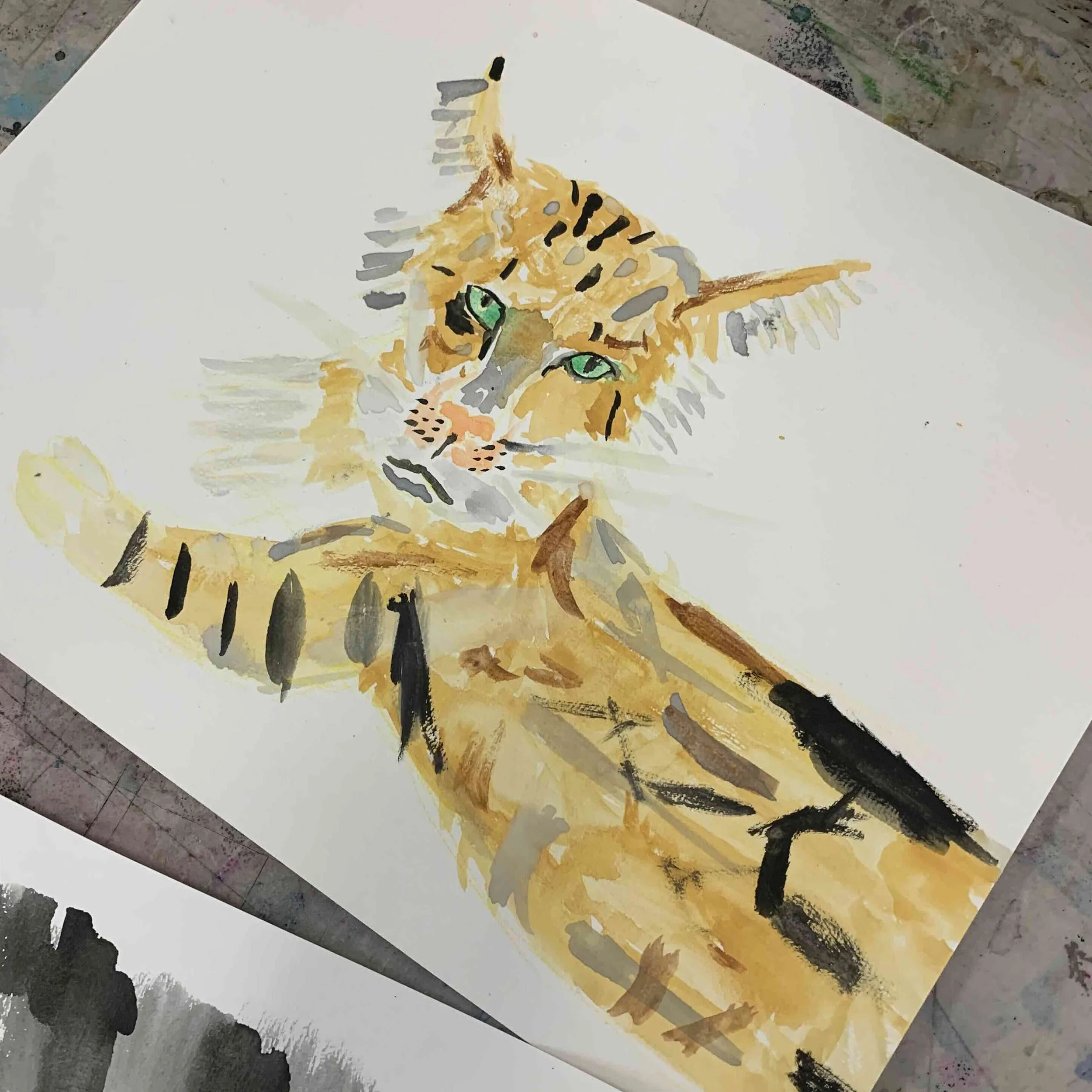 Tiger.jpg