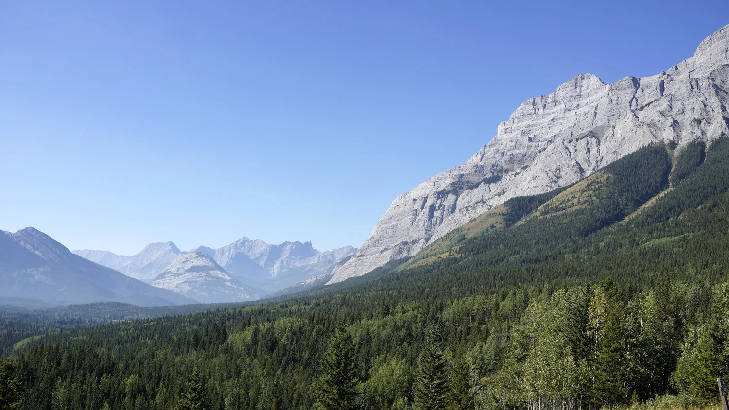_DSC8467-copy-kananaskis.jpg