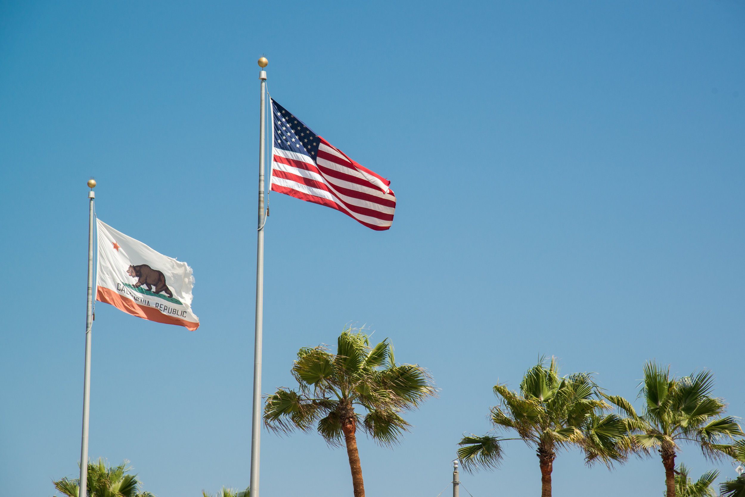 AdobeStock_117411953.jpeg