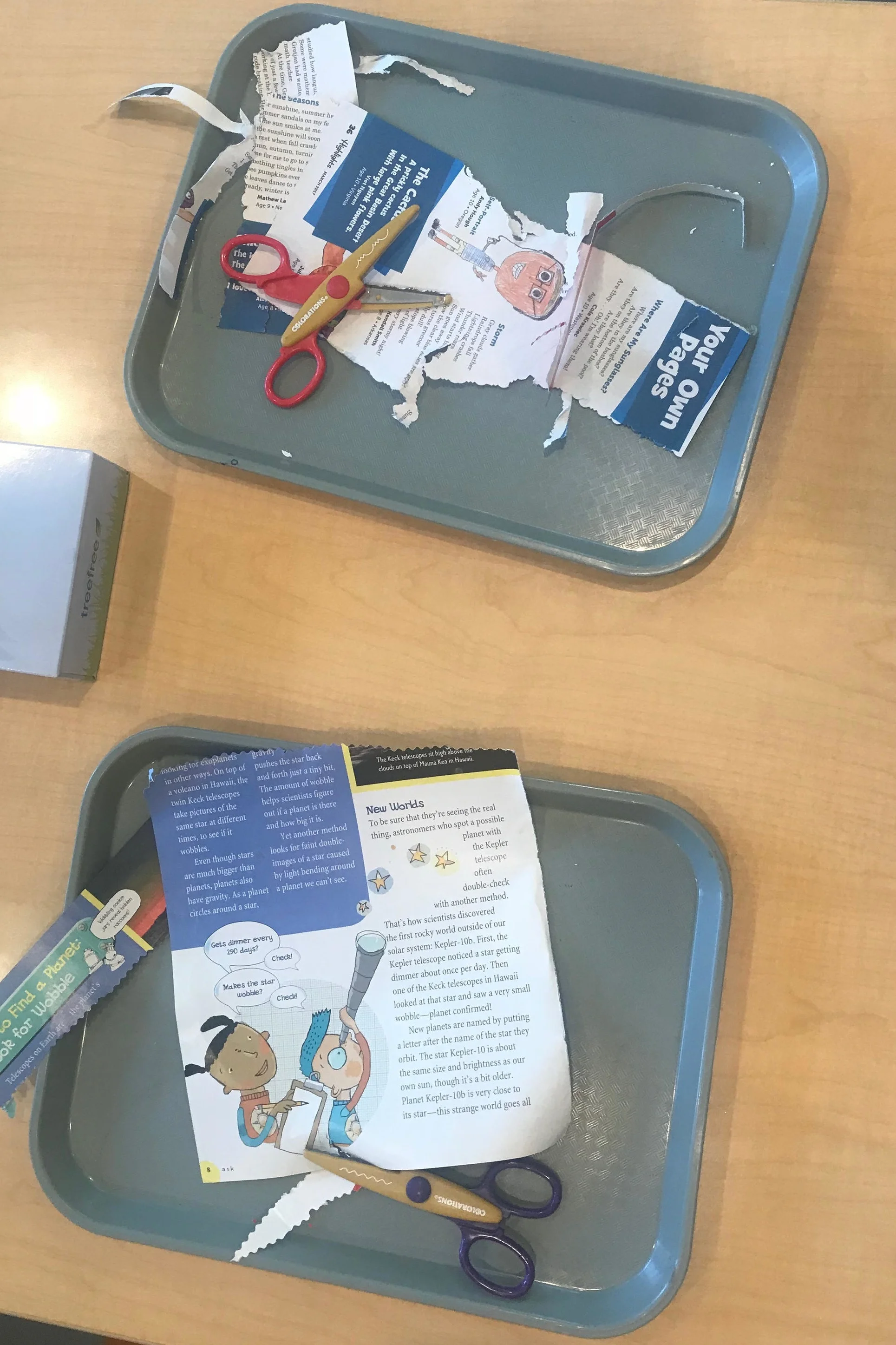 Photo From Toddle Flexible Preschool