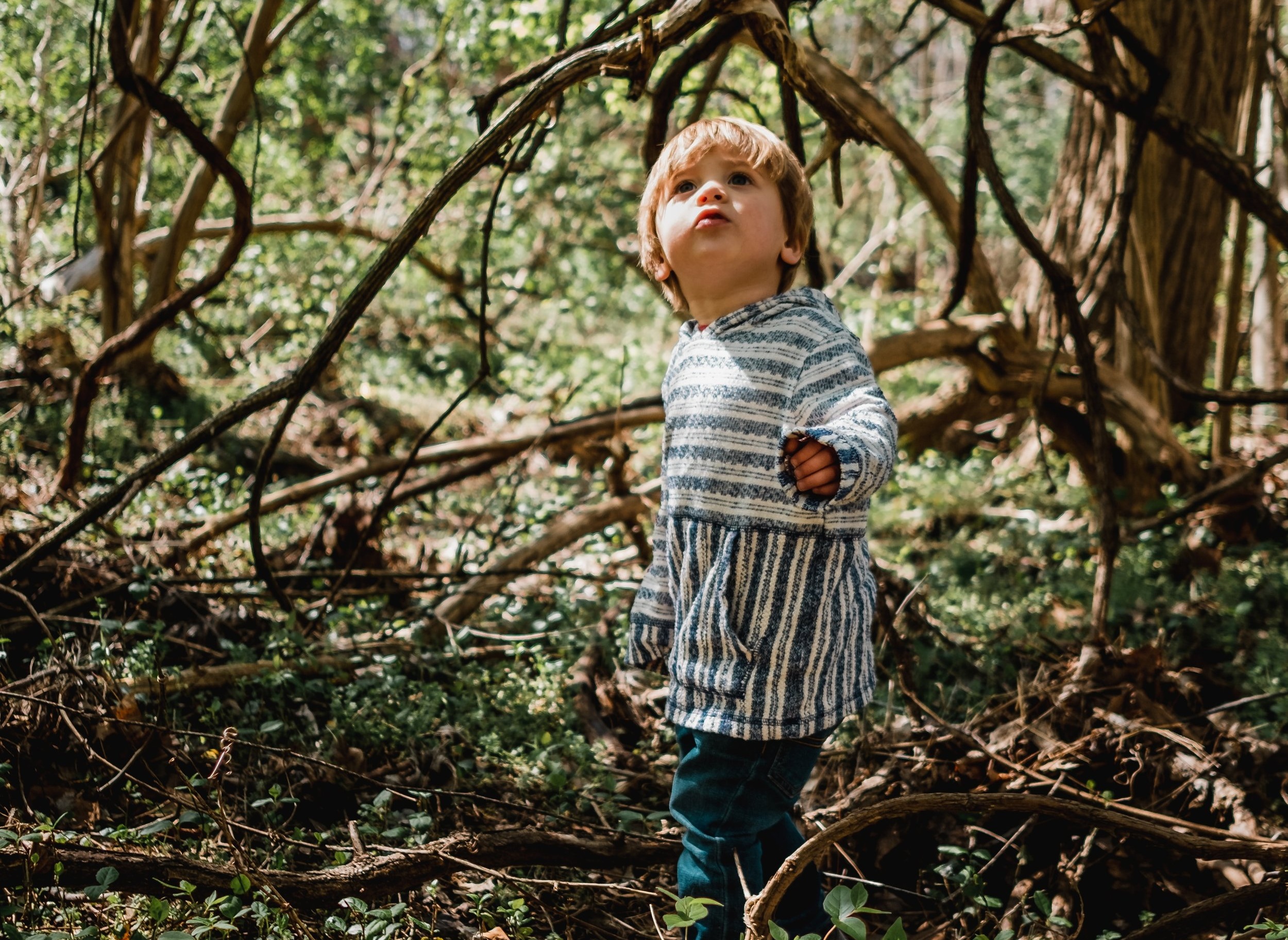 kyle-nieber-f0tKahz0DVA-unsplash.jpg
