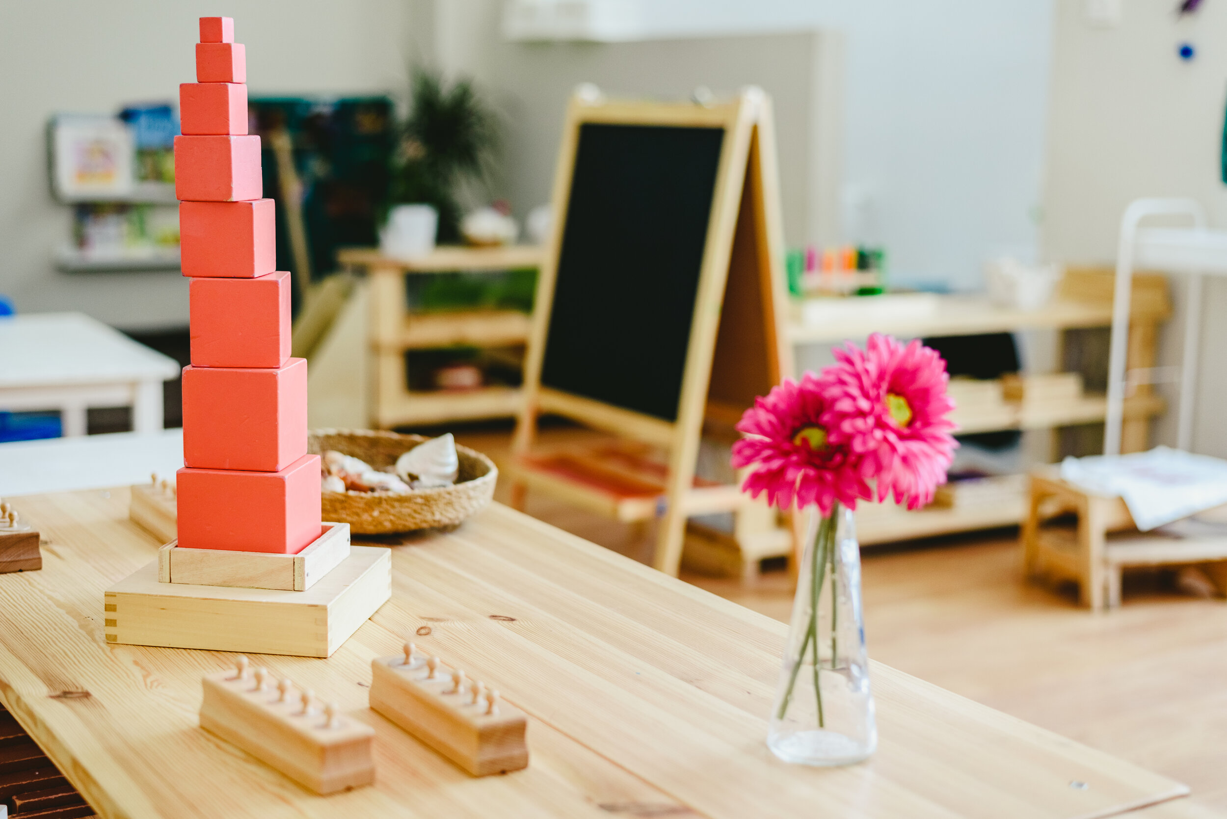 AdobeStock_217189503.jpeg