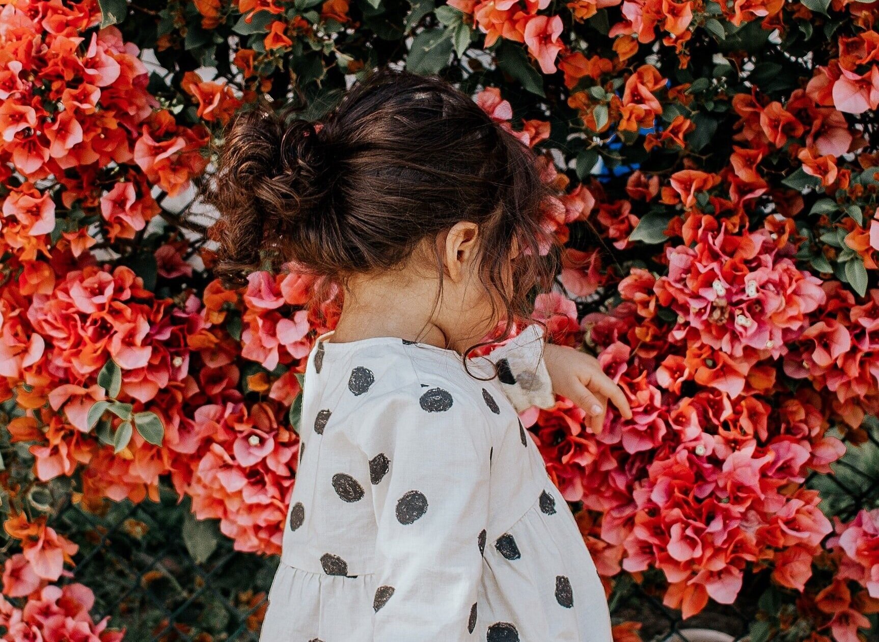 vanessa-serpas-e6lWMBIgNso-unsplash.jpg