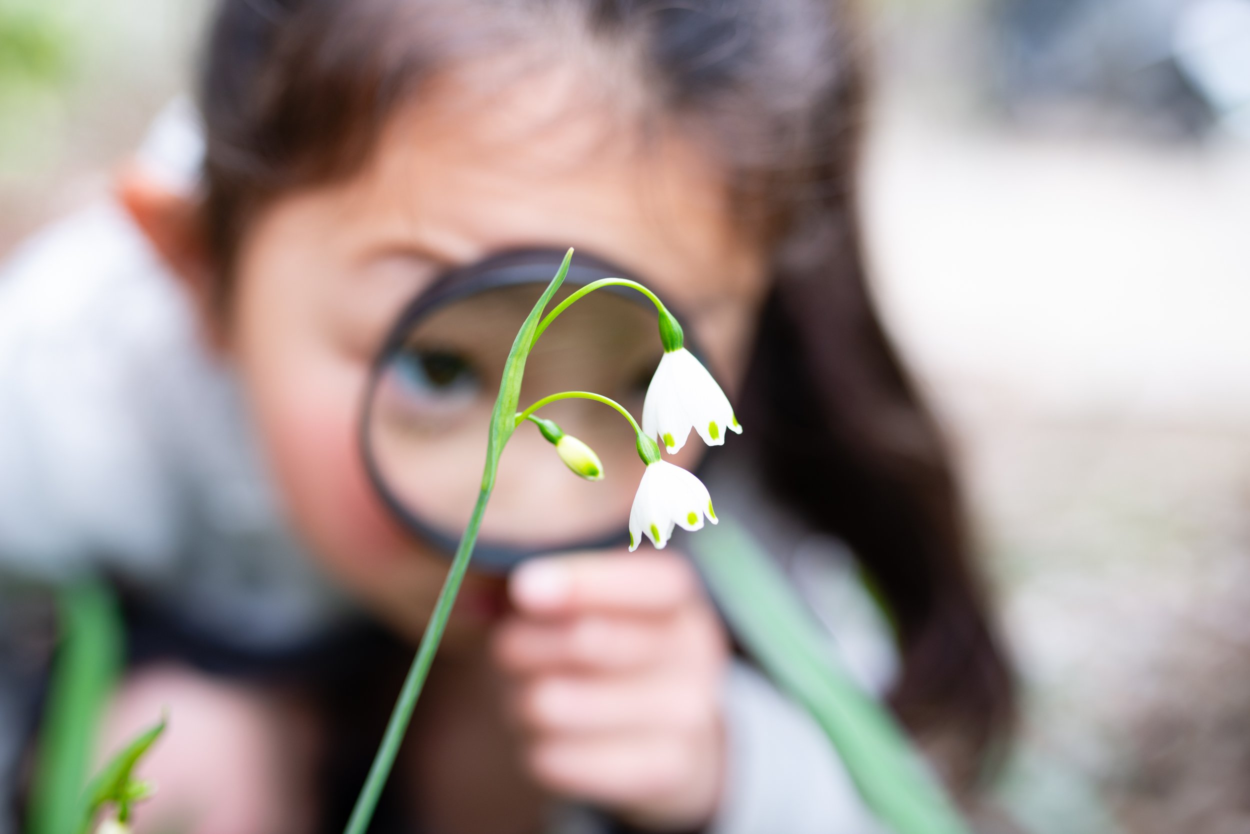 Spring Art Projects and STEM Activities for Children in Preschool and Pre-K  — Good2Know Network