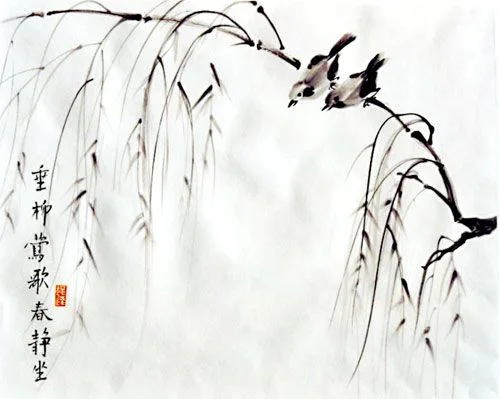 willow-tree.jpg