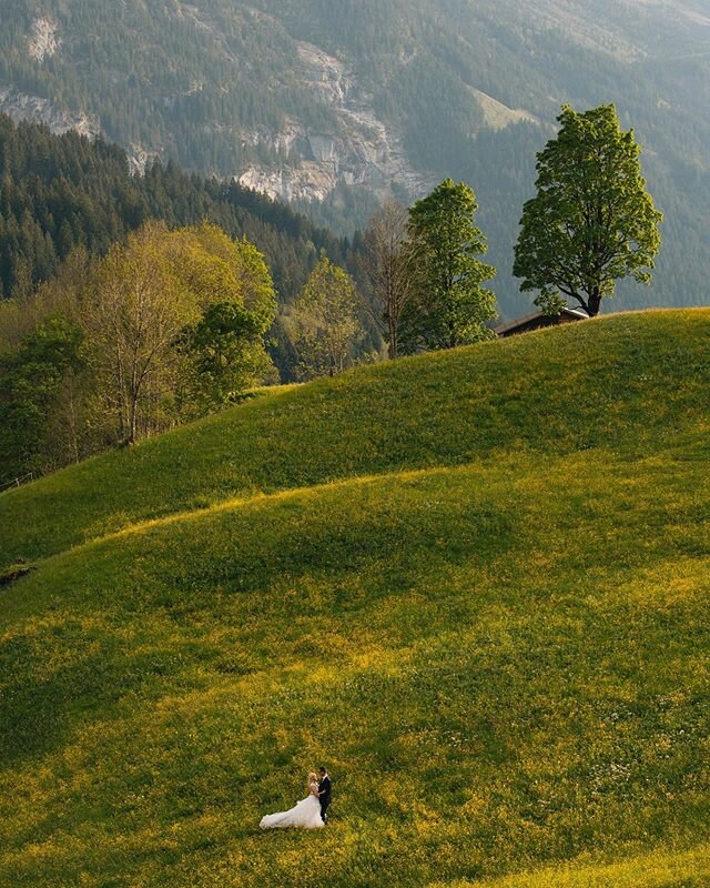 Social distancing at its best ❤️🇨🇭
.
.
.
#weddingphotography #switzerland #alps #creativephotoshoot #socialdistancing #bride #brideinspiration #brideandgroom #outsidewedding #spring @kiralyieskuvok @kiralynelli @dekanydalma