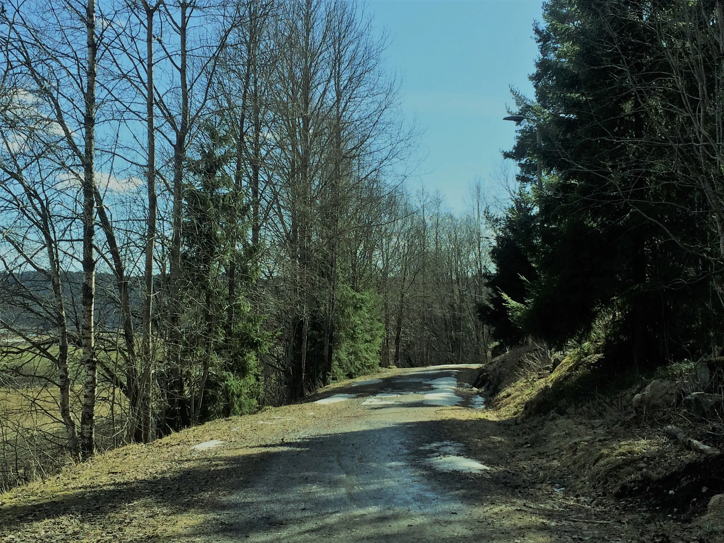 En helg med Fornuften og Samvittigheten