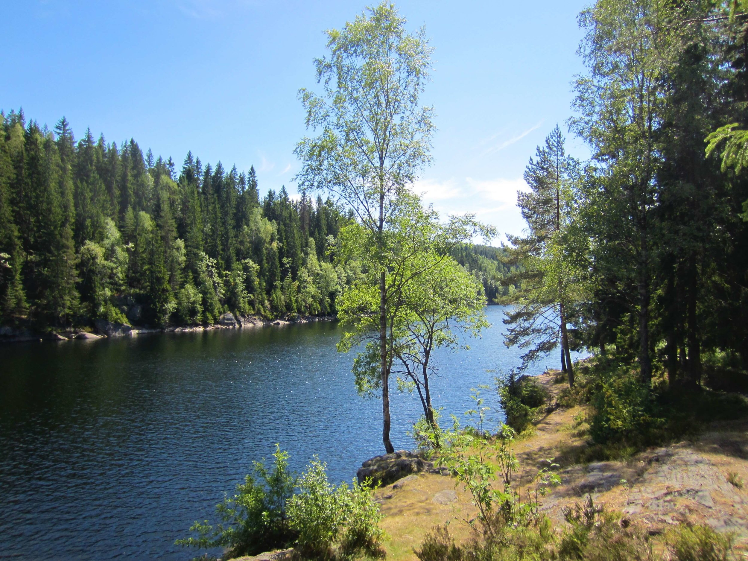 Elvåga, Østmarka