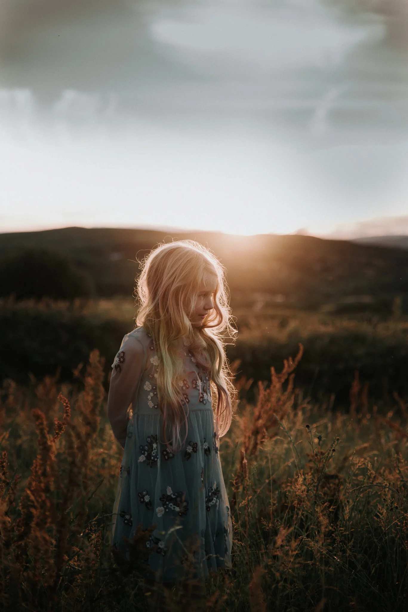 Beautifullight_DavisR_2.jpg