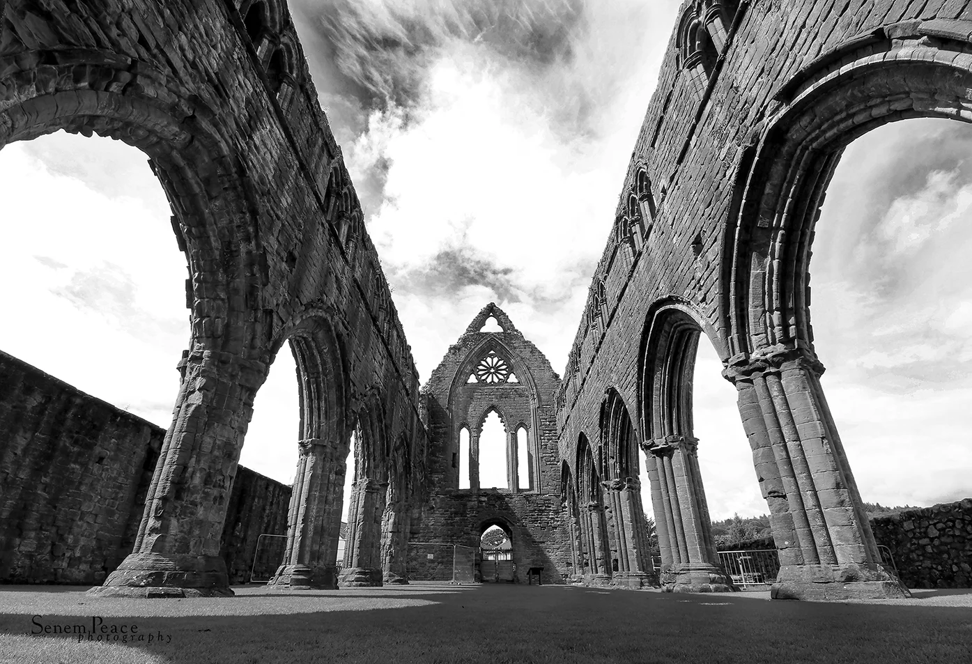 sweetheartabbey2abwweb.jpg