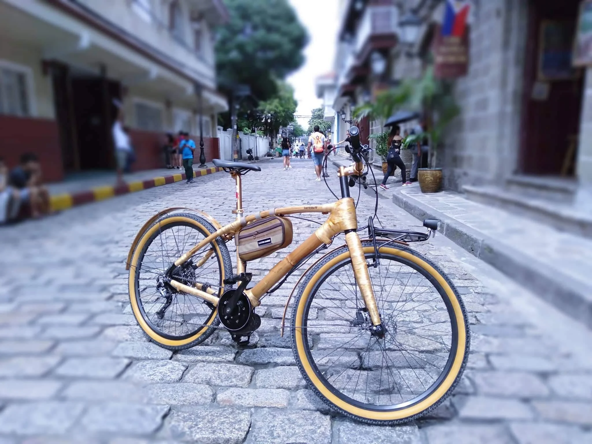 electric bamboo bike