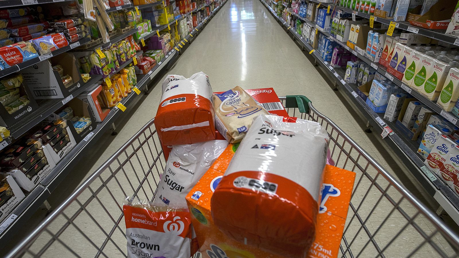 shooping cart.jpg