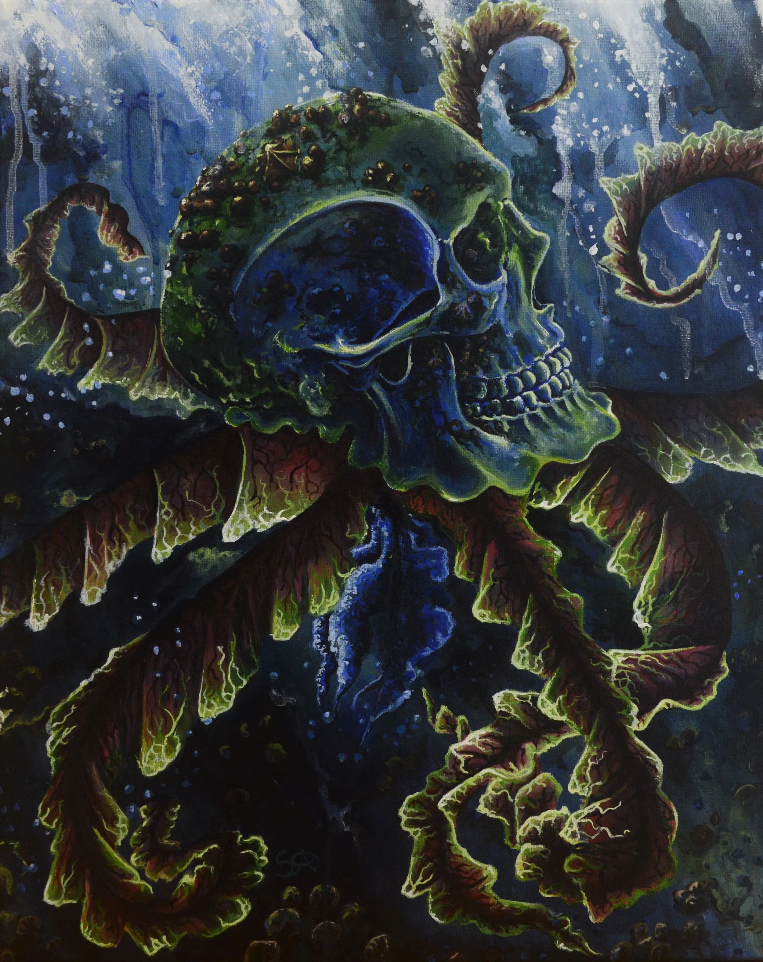 Octozoa