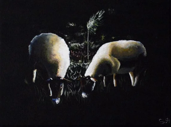 Sheep #1
