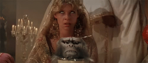 IMG_0379.gif