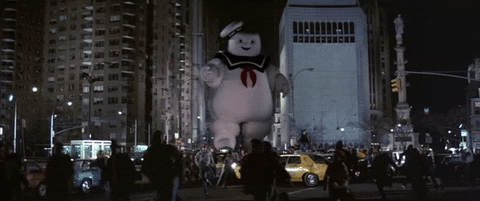 IMG_0382.gif