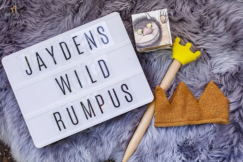 Wild-one-where-the-wild-things-are-king-of-all-wild-things-smash-cake-central-park-one-year-old-first-birthday_008_WEB.jpg