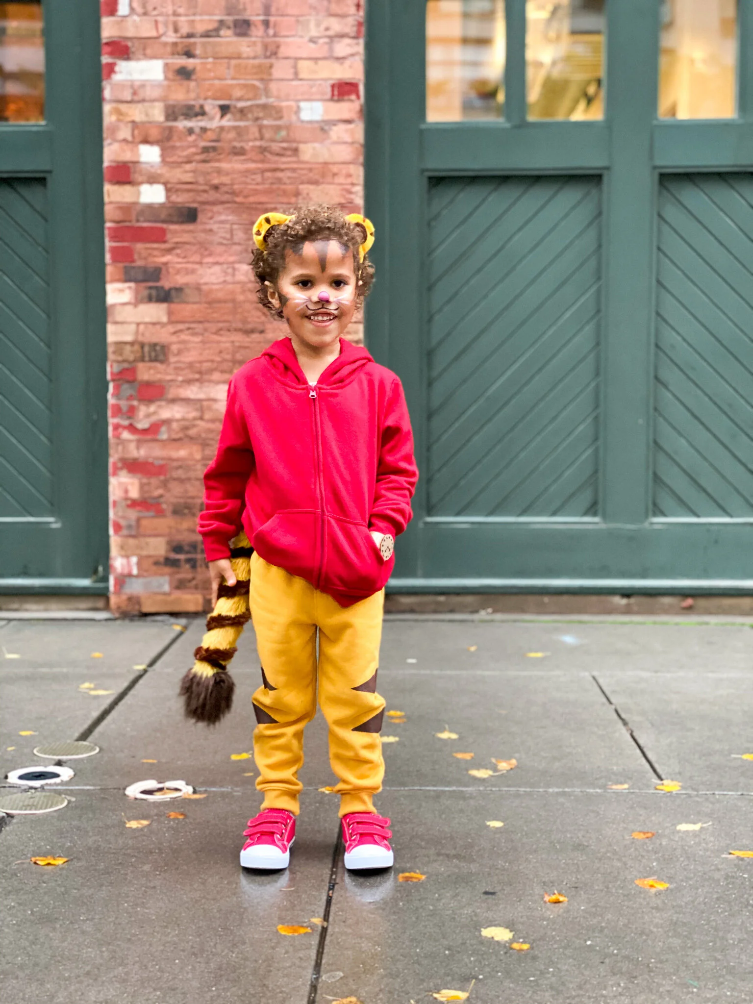 Daniel tiger costume photos