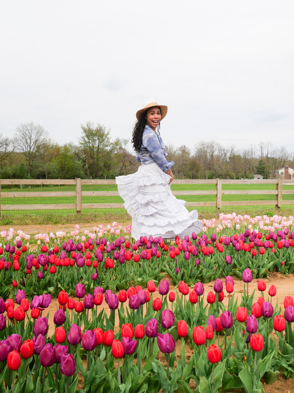 Holland Ridge Tulips 04-22 20_01_57 +0000JpegFile.jpg