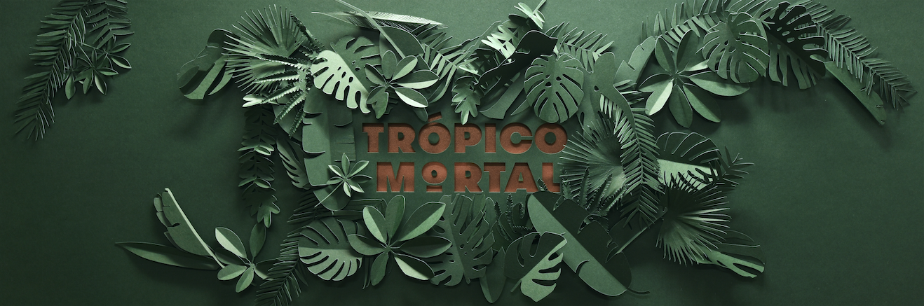 The brand identity was developed alongside the concept for the first collection, key visuals for marketing campaigns.