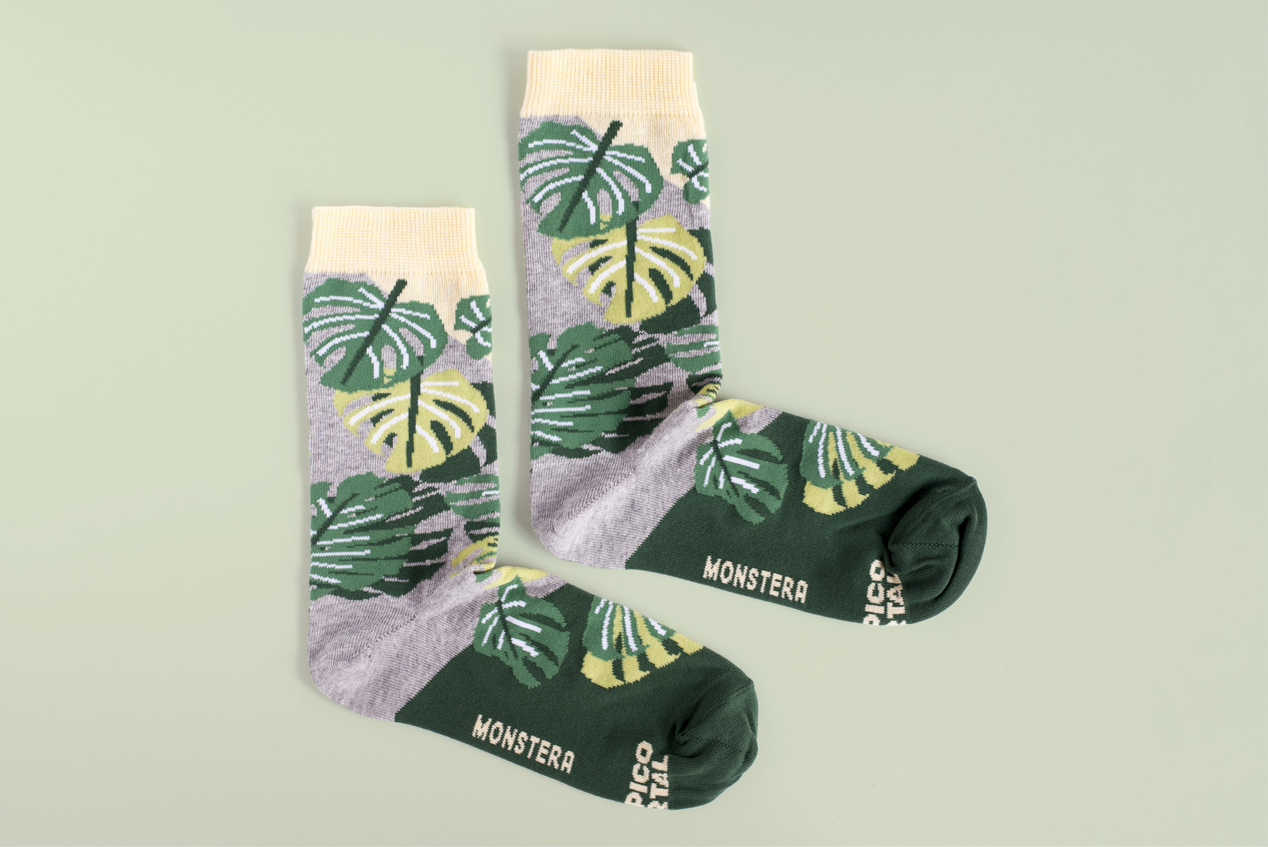 MONSTERA DELICIOSA 3.jpg