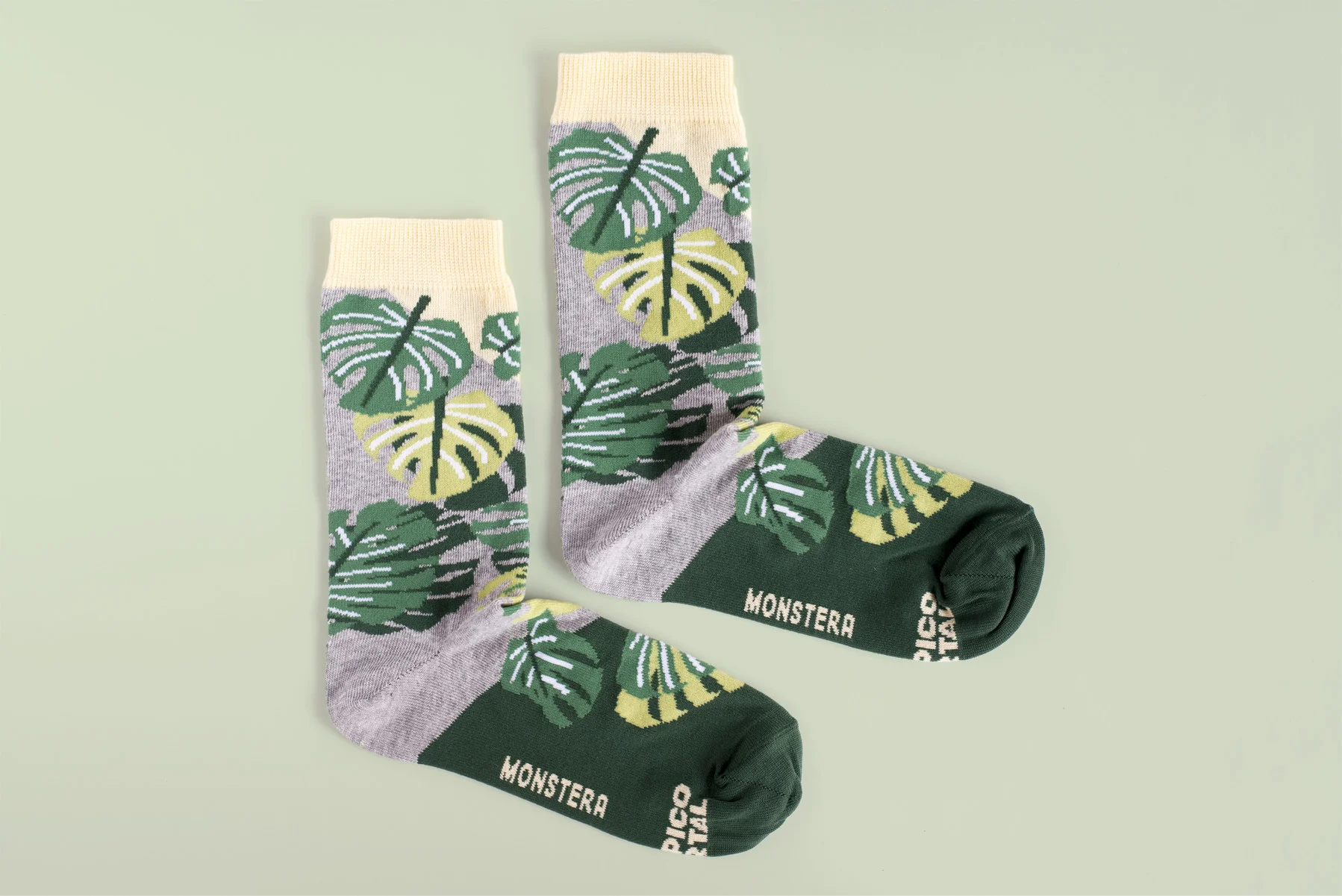MONSTERA DELICIOSA 3.jpg