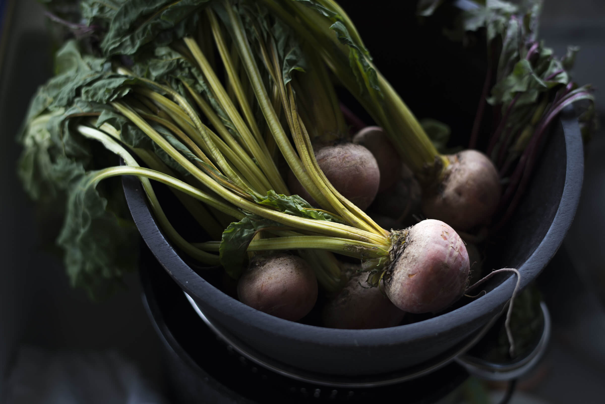 AdobeStock_214812899.jpg