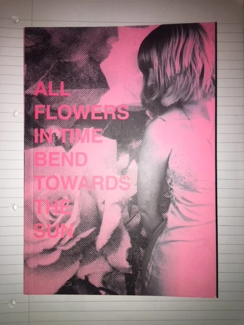 Everything I love about Chloe Sheppard's 'All Flowers In Time Bend Towards The Sun' 