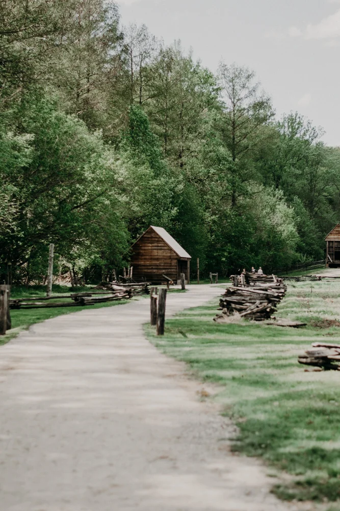 SP_4.07.19-30.jpg