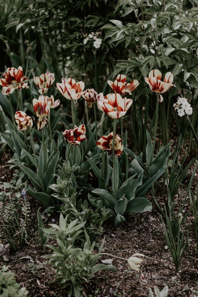 SP_4.07.19-40.jpg