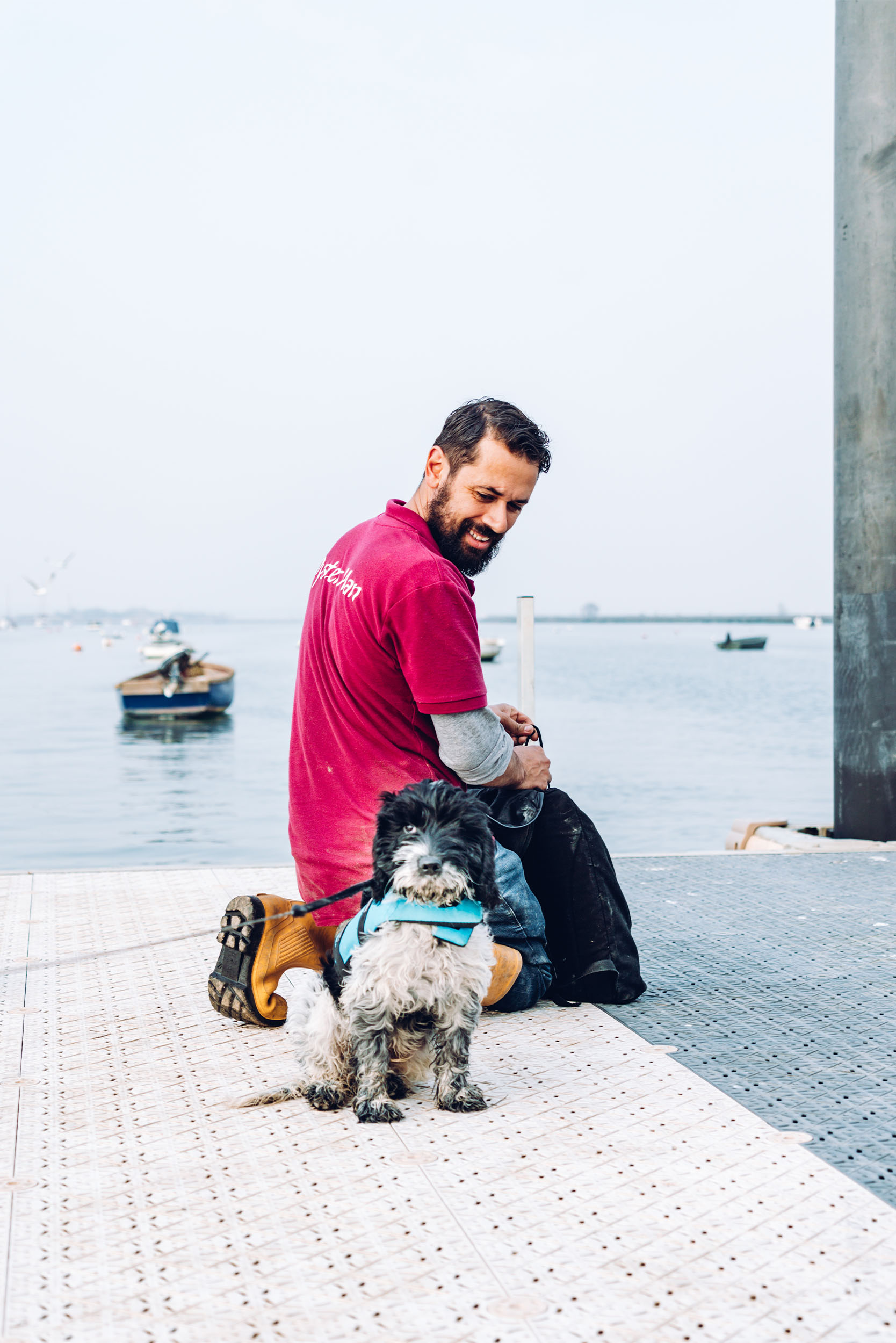 Gemma and Life Blog - Cockapoo Dog Hendricks - Tom Haward.jpg