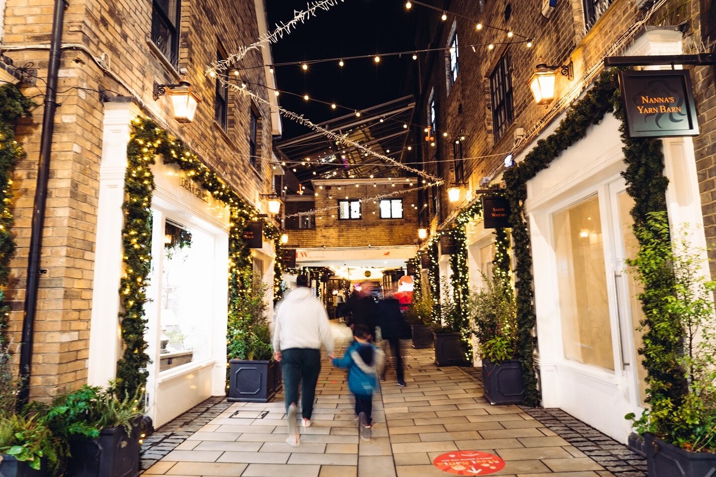 @lionwalkshopping looking so festive! 🎄⭐️